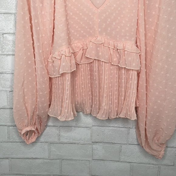 Lulu's Thrills and Frills Blush Pink Swiss Dot Ruffled Long Sleeve Top - Picture 10 of 15
